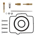 Kit Revisione Carburatore Suzuki RM 250