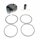 Kit Pistone 76.97 mm Kawasaki KX 250 F 4T 