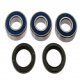 Kit Cuscinetti E Guarnizioni Ruota Kawasaki KH 250 B 