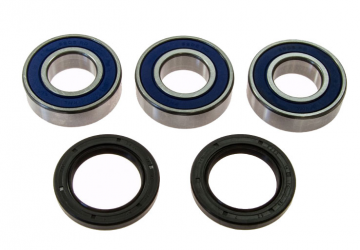 Kit Cuscinetti E Guarnizioni Ruota Kawasaki KH 250 B