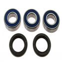 Kit Cuscinetti E Guarnizioni Ruota Kawasaki KH 250 B