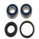 Kit Cuscinetti E Guarnizioni Ruota Honda GL 1500 C Valkyrie F6C - VT 750 S 
