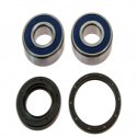 Kit Cuscinetti E Guarnizioni Ruota Honda GL 1500 C Valkyrie F6C - VT 750 S