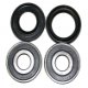 Kit Cuscinetti E Guarnizioni Ruota Kawasaki EN 450 A Ltd - GPX 600 R - EN 500 B