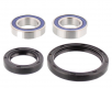 Kit Cuscinetti E Guarnizioni Ruota Honda NX 250 - NX 650 Dominator 