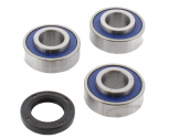 Kit Cuscinetti E Guarnizioni Ruota Harley Davidson FLH 1200 Electra Glide