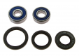 Kit Cuscinetti Racing E Guarnizioni Ruota Kawasaki EL 250 D Eliminator - EN 450 A Ltd - GPX 600 R 