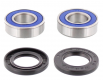 Kit Cuscinetti Racing E Guarnizioni Ruota Kawasaki KLX 250 R - KLX 300 R - KX 125 J 