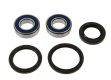 Kit Cuscinetti Racing E Guarnizioni Ruota Yamaha YZF 1000 R - YZF 750 R - XJR 1300 SP 