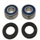 Kit Cuscinetti E Guarnizioni Ruota Racing KTM EGS 360 2T - EGS 620 LC4 