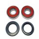 Kit Cuscinetti E Guarnizioni Ruota Kawasaki ZXR 750 H Stinger - ZZR 1100 C 