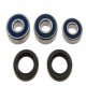 Kit Cuscinetti E Guarnizioni Ruota Racing Honda CBR 250 R - CBR 250 RA ABS 