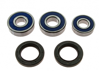Kit Cuscinetti E Guarnizioni Ruota Racing Honda CBR 250 R - CBR 250 RA ABS