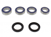Kit Cuscinetti E Guarnizioni Ruota Racing Honda CBR 600 RR