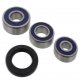 Kit Cuscinetti E Guarnizioni Ruota Racing Kawasaki H1 500 Mach 3 - H1 500 F 