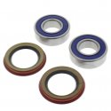 Kit Cuscinetti E Guarnizioni Ruota Racing Bombardier DS 650 - DS 650 BajaX