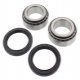 Kit Cuscinetti E Guarnizioni Ruota Racing Bombardier DS 650 - DS 650 BajaX 