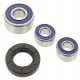 Kit Cuscinetti E Guarnizioni Ruota Racing Yamaha XV 125 H Virago - XVS 250 Drag Star 