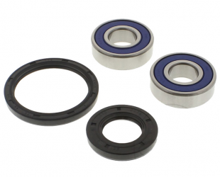 Kit Cuscinetti E Guarnizioni Ruota Racing Yamaha FZR 600 RH Genesis - SZR 660