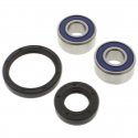 Kit Cuscinetti E Guarnizioni Ruota Racing Yamaha FZR 600 RH Genesis - SZR 660