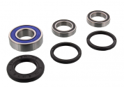 Kit Cuscinetti E Guarnizioni Ruota Racing Kawasaki KX 125 D - KDX 200 C