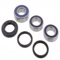 Kit Cuscinetti E Guarnizioni Ruota Racing Kawasaki KX 250 D - KX 500 B