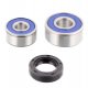 Kit Cuscinetti E Guarnizioni Ruota Racing Suzuki TS 250 - TS 250 ER 