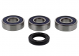 Kit Cuscinetti E Guarnizioni Ruota Racing Harley Davidson XLCR 1000 Cafe Racer 