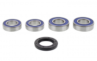 Kit Cuscinetti E Guarnizioni Ruota Racing Husaberg FS 450 E Supermoto - FS 650 E Supermoto