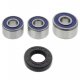 Kit Cuscinetti E Guarnizioni Ruota Racing Yamaha XVS 1100 A Drag Star Classic 