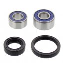 Kit Cuscinetti E Guarnizioni Ruota Racing Honda FMX 650