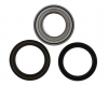 Kit Cuscinetti E Guarnizioni Ruota Racing Suzuki LT-A 750 X KingQuad AXI 4X4 