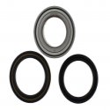 Kit Cuscinetti E Guarnizioni Ruota Racing Suzuki LT-A 750 X KingQuad AXI 4X4