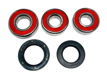 Kit Cuscinetti E Guarnizioni Kawasaki ZX-10R 1000 F Ninja