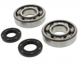 Kit Cuscinetti Albero Motore Con Paraoli Kawasaki KX 250 K
