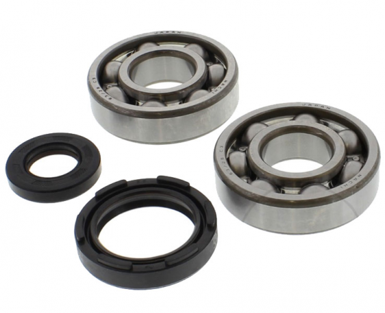 Kit Cuscinetti Albero Motore Con Paraoli Yamaha YZ 250 2T 