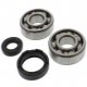 Kit Cuscinetti Albero Motore Con Paraoli Honda CR 250 R - CR 500 R 