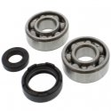 Kit Cuscinetti Albero Motore Con Paraoli Honda CR 250 R - CR 500 R