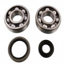 Kit Cuscinetti Albero Motore Con Paraoli Suzuki RM 250