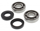 Kit Cuscinetti Albero Motore Con Paraoli Yamaha YZ 80 - YZ 80 17/14 Zoll Rad