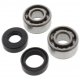 Kit Cuscinetti Albero Motore Con Paraoli Yamaha YZ 250 2T 