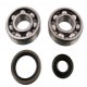 Kit Cuscinetti Albero Motore Con Paraoli Suzuki RM 125 
