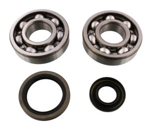 Kit Cuscinetti Albero Motore Con Paraoli Suzuki RM 125