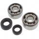 Kit Cuscinetti Albero Motore Con Paraoli Kawasaki KX 60 B - KX 65 A - KX 80 R 