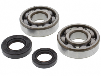 Kit Cuscinetti Albero Motore Con Paraoli Kawasaki KX 60 B - KX 65 A - KX 80 R