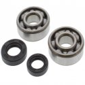 Kit Cuscinetti Albero Motore Con Paraoli Kawasaki KX 60 B - KX 65 A - KX 80 R