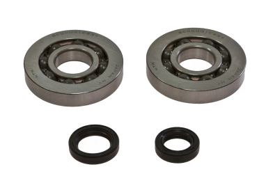 Kit Cuscinetti Albero Motore Con Paraoli Piaggio