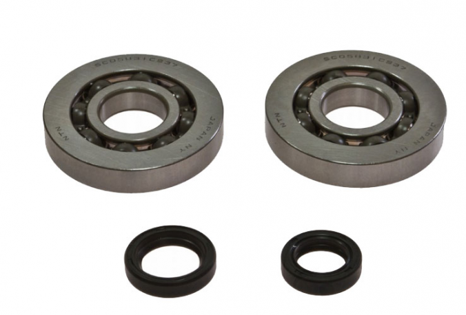 Kit Cuscinetti Albero Motore Con Paraoli Piaggio