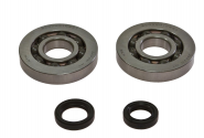Kit Cuscinetti Albero Motore Con Paraoli Piaggio