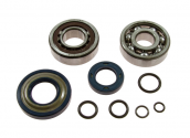 Kit Cuscinetti Albero Motore Con Paraoli Vespa ET3 125